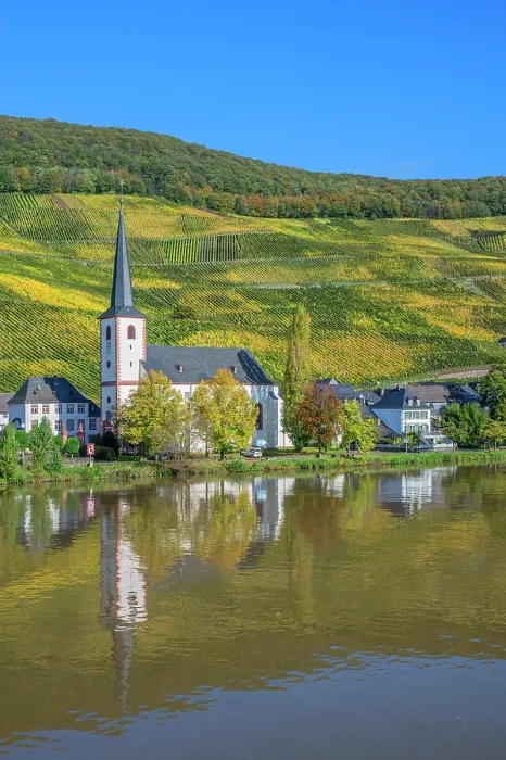 Framed Print : Piesport with church St. Michael, Mosel, Mosel valley, Rhineland-Palatinate, Germany
