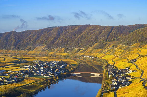 Piesport, Mosel valley, Rhineland-Palatinate, Germany