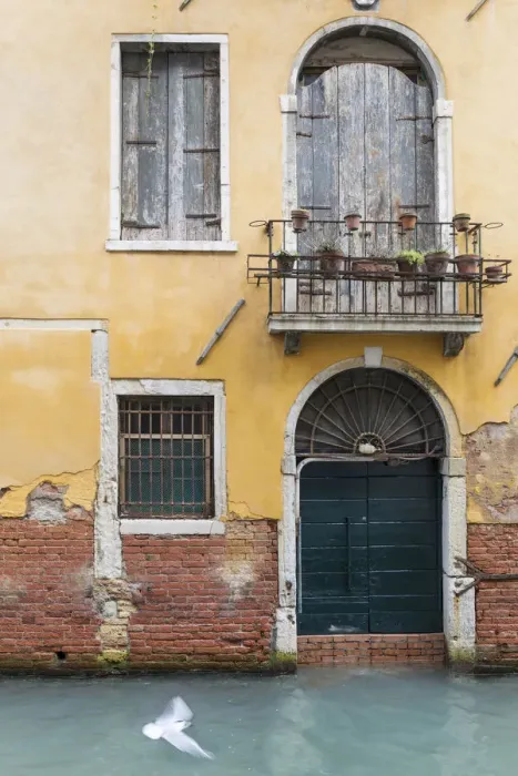 Framed Print : Pigeon flies past old building on canal, Venice, Veneto, Italy
