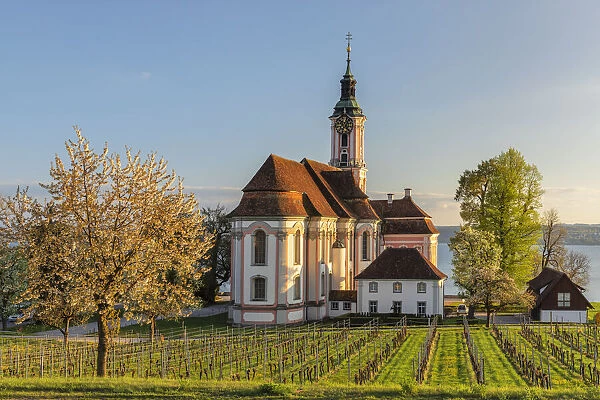 Pilgrimage church Birnau Unteruhldingen, Lake Constance, Upper Swabia, Baden Wurttemberg, Germany