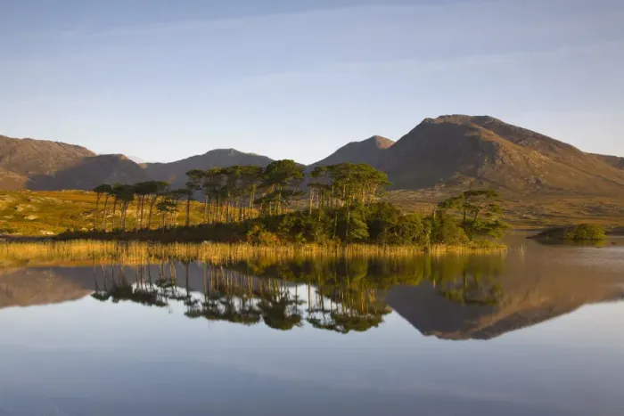 Framed Print : Pine Island, Connemara National Park, Connemara, Co. Galway, Ireland Framed Print : Pine Island, Connemara National Park, Connemara, Co. Galway, Ireland