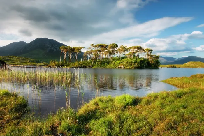 Framed Print : Pine Island on the Derryclare Lough lake, Connemara National Park, Connemara, County Galway, Connacht province, Inagh Valley, Ireland, Europe Framed Print : Pine Island on the Derryclare Lough lake, Connemara National Park, Connemara, County Galway, Connacht province, Inagh Valley, Ireland, Europe