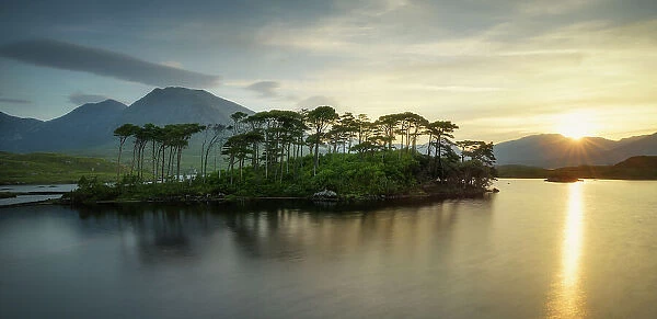Pine Island on the Derryclare Lough lake, Connemara National Park, Connemara, County Galway, Connacht province, Inagh Valley, Ireland, Europe
