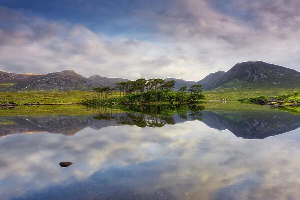 Pine Island on the Derryclare Lough lake, Connemara National Park, Connemara, County Galway, Connacht province, Inagh Valley, Ireland, Europe