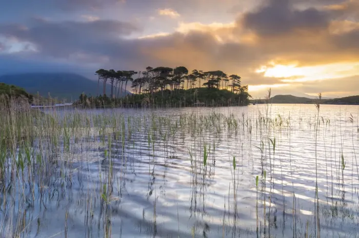 Framed Print : Pine Island on the Derryclare Lough lake at sunrise. Pine Island, Connemara National Park