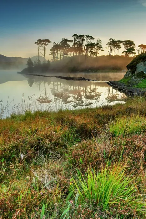 Framed Print : Pine Island at Sunrise, Derryclare Lough, County Galway, Ireland