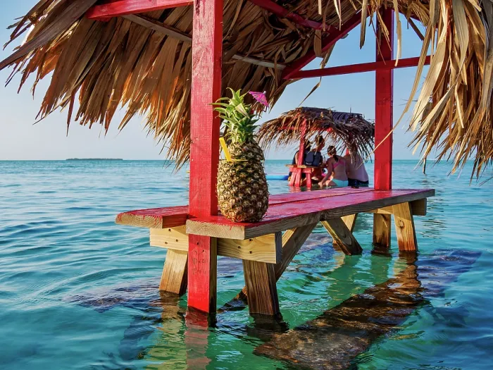 Framed Print : Pineapple Cocktail at the Swing Bar, Secret Beach, Ambergris Caye, Belize District, Belize