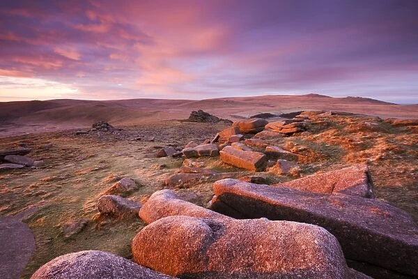 Pink dawn sky above Belstone Tor, looking towards Higher Tor and Winter Tor in the mid distance