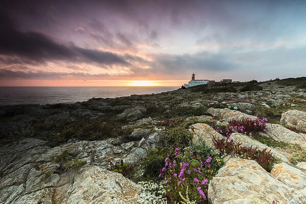 Pink sky at sunset frames the lighthouse overlooking the Atlantic Ocean Cabo De Sao