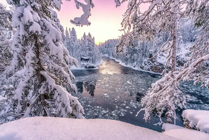 Framed Print : Pink sunrise over snowy trees with Myllykoski frozen rapids and old mill on background, Oulanka NP, Kuusamo, Lapland, Finland Framed Print : Pink sunrise over snowy trees with Myllykoski frozen rapids and old mill on background, Oulanka NP, Kuusamo, Lapland, Finland