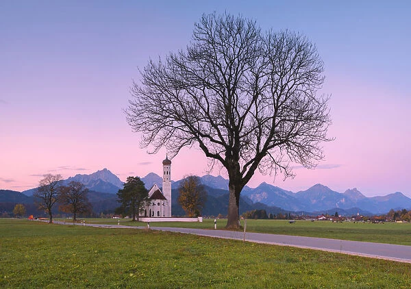 Pink sunrise on St Coloman Church surrounded by woods Schwangau Bavaria Germany Europe