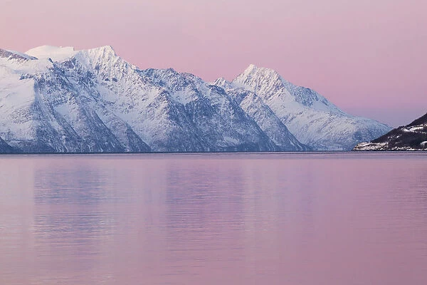 Pink sunset in Kafjorden, Lyngen Alps, Troms, Norway, Lapland, Europe