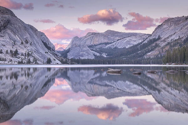 Pink sunset above a reflective Tenaya Lake, Yosemite National Park, California, USA