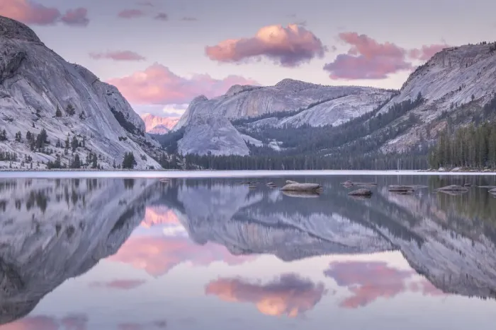Framed Print : Pink sunset above a reflective Tenaya Lake, Yosemite National Park, California, USA Framed Print : Pink sunset above a reflective Tenaya Lake, Yosemite National Park, California, USA