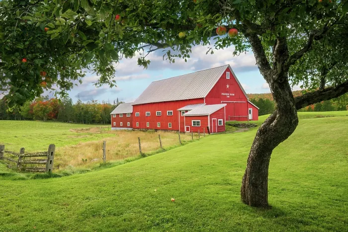 Framed Print : Pioneer Farm and apple tree in autumn, Columbia, New Hampshire, USA Framed Print : Pioneer Farm and apple tree in autumn, Columbia, New Hampshire, USA