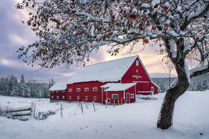 Framed Print : Pioneer Farm at sunset in winter, Columbia, New Hampshire, USA