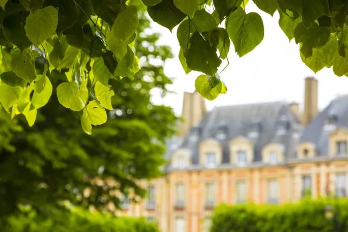 Framed Print : Place des Vosges, Paris, France
