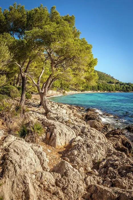 Framed Print : Platja de Formentor beach, Mallorca, Balearic Islands, Spain Framed Print : Platja de Formentor beach, Mallorca, Balearic Islands, Spain