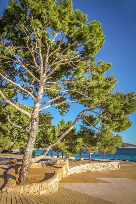 Framed Print : Platja de Formentor beach, Mallorca, Balearic Islands, Spain Framed Print : Platja de Formentor beach, Mallorca, Balearic Islands, Spain