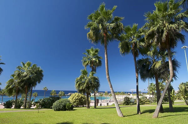 Playa Amadores, Puerto Rico, Gran Canaria, Canary Islands, Spain