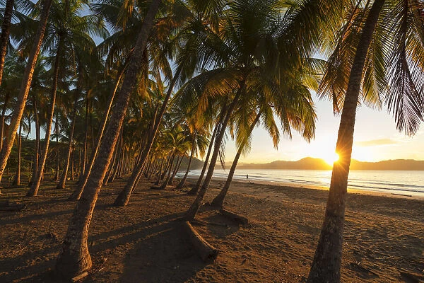 Playa Carillo at sunrise, Peninsula de Nicoya, Guanacaste, Costa Rica, Latin America