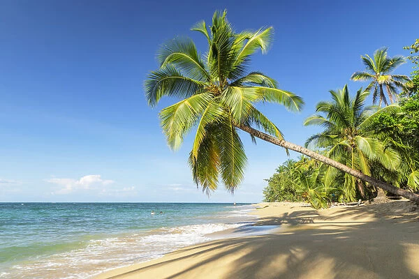 Playa Uva; Caribbean, Costa Rica, Latin America