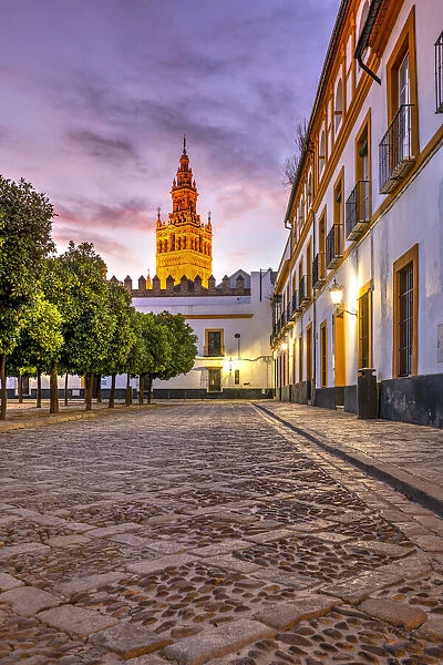 Plaza del Patio de Banderas with Giralda bell tower in the background, Seville, Andalusia
