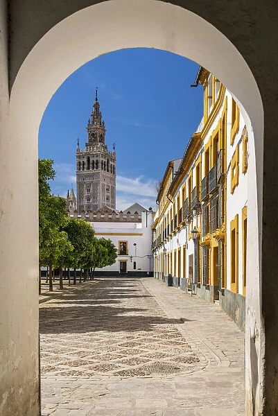 Plaza del Patio de Banderas with Giralda bell tower in the background, Seville, Andalusia