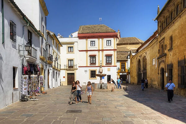 Plaza del Potro with Fuenta del Potro and the Museum of Fine Arts, Cordoba, Andalusia