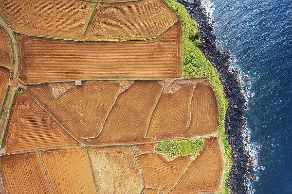 Ploughed field beside the ocean, Lajes do Pico municipality, Pico island (Ilha do Pico), Azores archipelago, Portugal