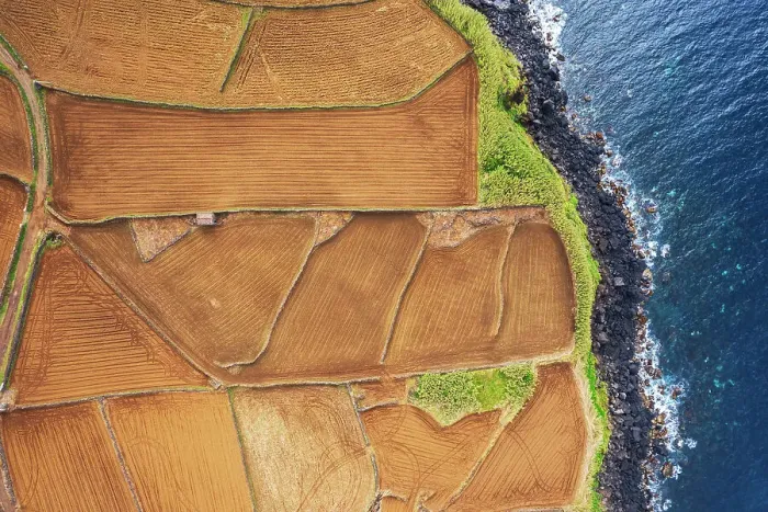 Framed Print : Ploughed field beside the ocean, Lajes do Pico municipality, Pico island (Ilha do Pico), Azores archipelago, Portugal Framed Print : Ploughed field beside the ocean, Lajes do Pico municipality, Pico island (Ilha do Pico), Azores archipelago, Portugal