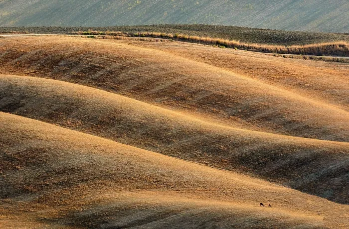 Framed Print : Ploughed fields in late summer, Val d'Orcia, Tuscany, Italy Framed Print : Ploughed fields in late summer, Val d'Orcia, Tuscany, Italy