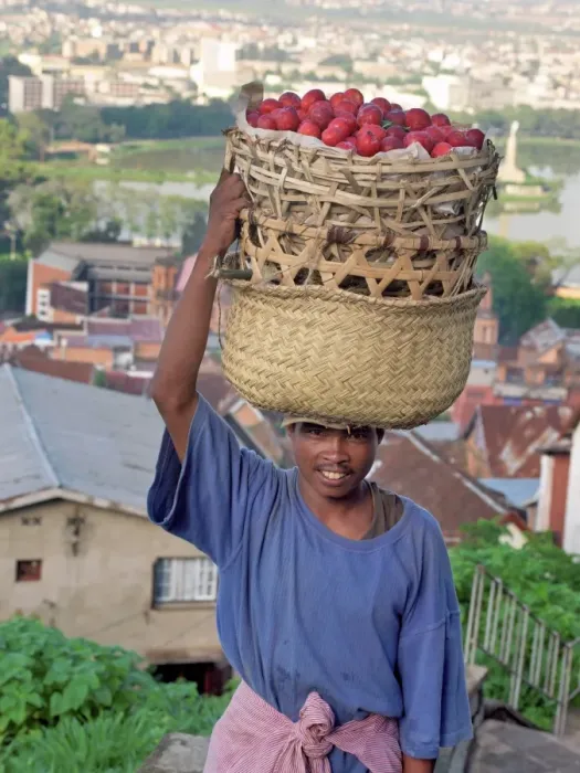 Framed Print : A plum seller in Antananarivo Framed Print : A plum seller in Antananarivo