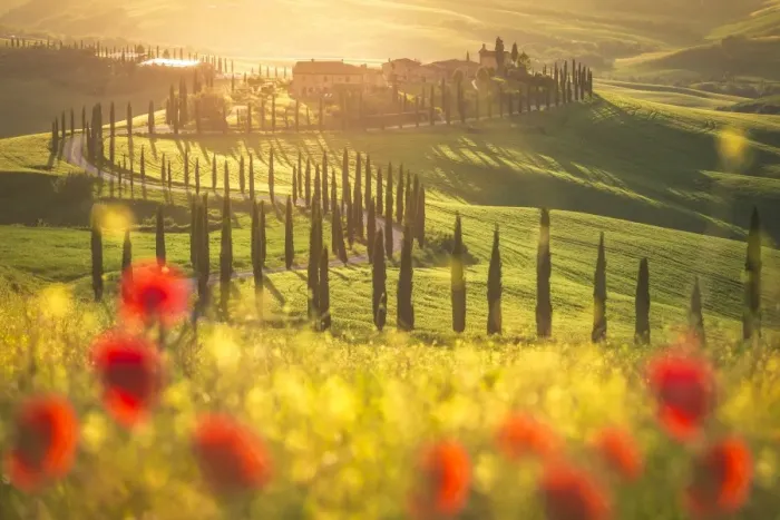 Framed Print : Podere Baccoleno, Asciano, Crete senesi, Tuscany, Italy Framed Print : Podere Baccoleno, Asciano, Crete senesi, Tuscany, Italy