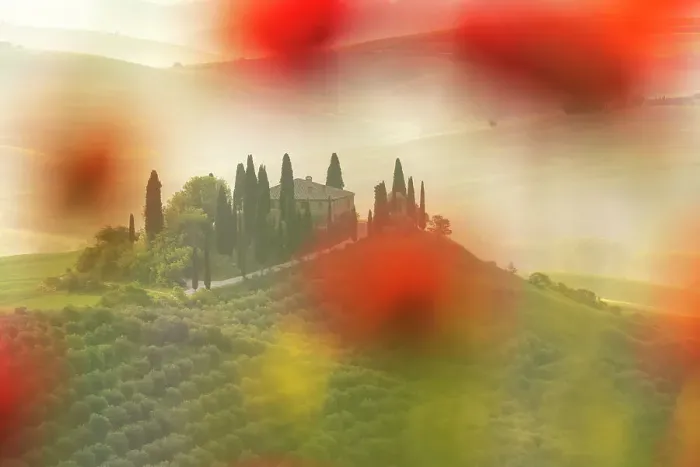 Framed Print : Podere Belvedere peaking through some poppies on a sunny spring morning. Val d'Orcia, Tuscany Framed Print : Podere Belvedere peaking through some poppies on a sunny spring morning. Val d'Orcia, Tuscany