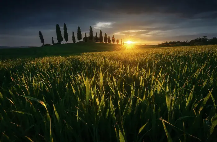 Framed Print : The Podere I Cipressini getting the first light of the day during a spring sunrise. Val d'Orcia, Tuscany, Italy Framed Print : The Podere I Cipressini getting the first light of the day during a spring sunrise. Val d'Orcia, Tuscany, Italy