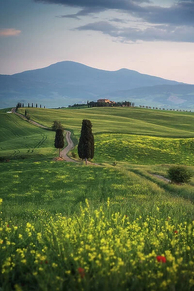The Podere Terrapille, also known as the Gladiator House Val d'Orcia, Tuscany, Italy