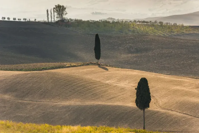 Framed Print : Podere Terrapille, Pienza, Val d Orcia, Tuscany, Italy, Europe Framed Print : Podere Terrapille, Pienza, Val d Orcia, Tuscany, Italy, Europe