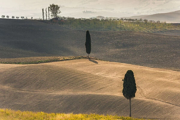 Podere Terrapille, Pienza, Val d Orcia, Tuscany, Italy, Europe