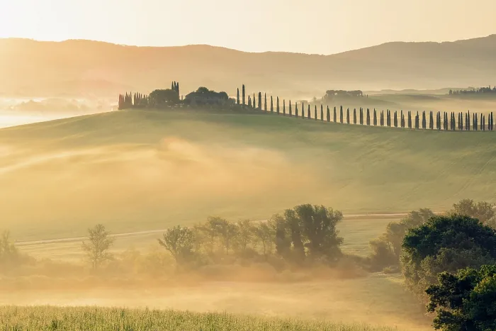 Framed Print : Poggio Covili and avenue of cypress trees at dawn, Val d'Orcia, near San Quirico d'Orcia, Tuscany, Italy Framed Print : Poggio Covili and avenue of cypress trees at dawn, Val d'Orcia, near San Quirico d'Orcia, Tuscany, Italy