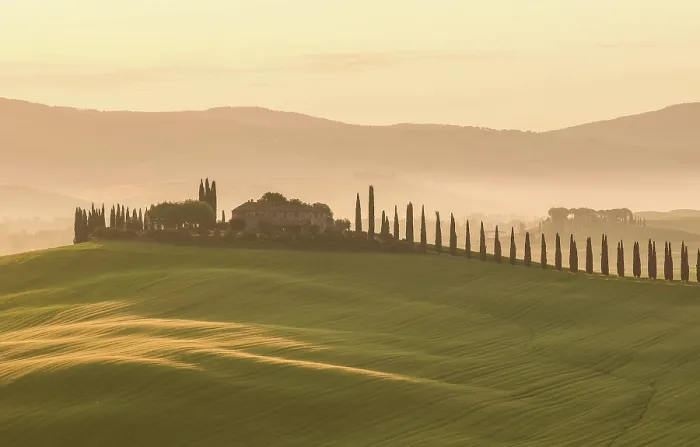 Framed Print : Poggio Covili and avenue of cypress trees at dawn, Val d'Orcia, near San Quirico d'Orcia, Tuscany, Italy