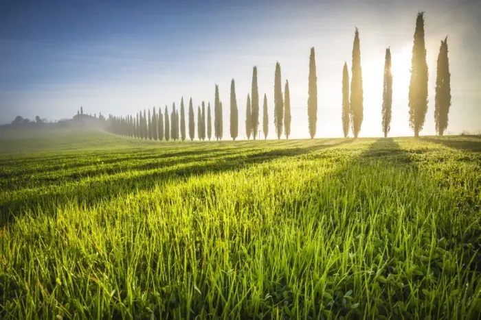 Framed Print : Poggio Covili, Castiglione d Orcia, Val d Orcia, Tuscany, Italy Framed Print : Poggio Covili, Castiglione d Orcia, Val d Orcia, Tuscany, Italy