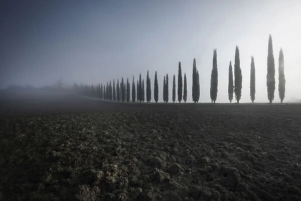 Poggio Covili covered with fog during autumn, Val d Orcia, Tuscany, Italy