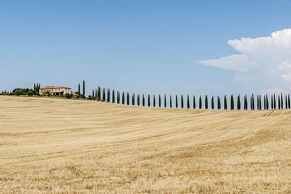 Poggio Covili from the distance in summer, Val d Orcia, Tuscany, Italy
