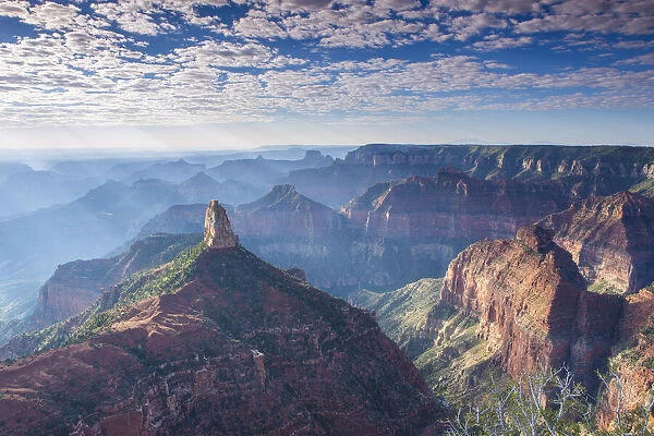 Point Imperial, , Grand Canyon, North Rim, Grand Canyon National Park, USA