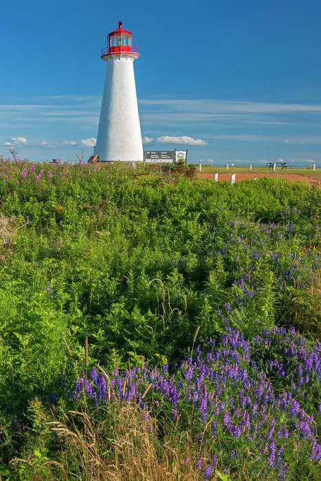 Framed Print : Point Prim Lighthouse and wildflowers Point Prim, Prince Edward Island, Canada Framed Print : Point Prim Lighthouse and wildflowers Point Prim, Prince Edward Island, Canada