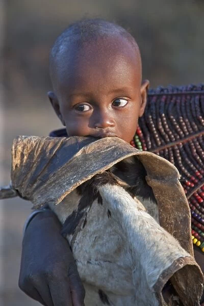 A Pokot child wrapped in a goatskin in his mothers arms. The Pokot are pastoralists speaking a Southern Nilotic language