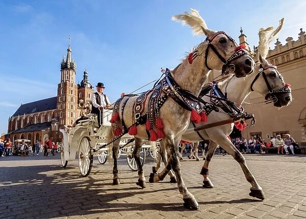 Poland, Lesser Poland Voivodeship, Cracow, Main Market Square, Horse Carriage with St