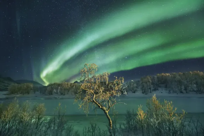 Framed Print : Polar light (Aurora Borealis) and birch on Senja - Norway, Troms, Senja, Stoennesbotn Framed Print : Polar light (Aurora Borealis) and birch on Senja - Norway, Troms, Senja, Stoennesbotn