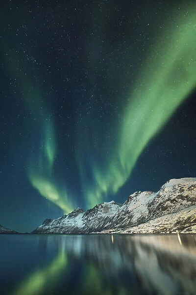 Polar light (Aurora Borealis) over Ersfjordbotn - Norway, Troms, Kvaloya, Ersfjordbotn